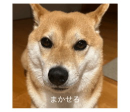 669899822