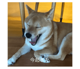 669899829