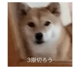 669899834