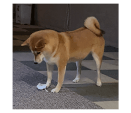 669899842