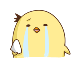 6699047