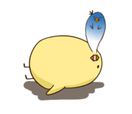 6699061