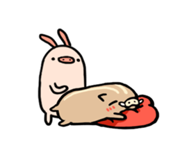66990778