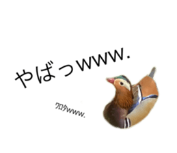 669927392