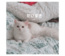 669934619