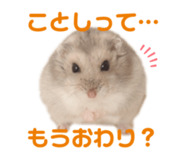 669946259