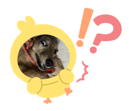 669947574