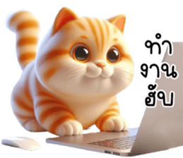 669954877
