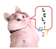 669965841
