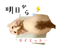 669965848