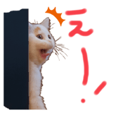 669966133