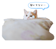 669966135