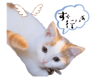 669966143