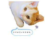 669966145