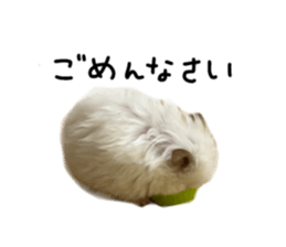 669976680