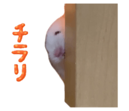 669976688
