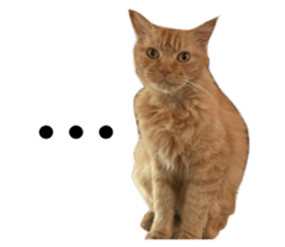 669986910