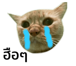 669986921