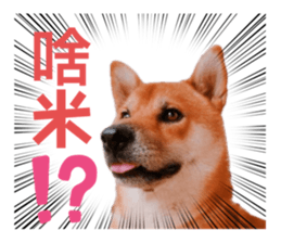 669986941
