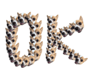 669987399