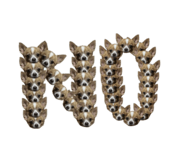 669987404