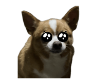 669987411