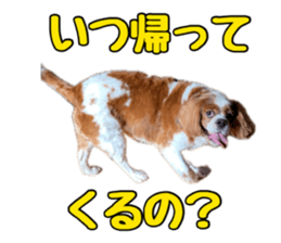 670000339