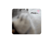 670021853