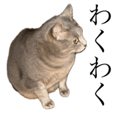 670033375