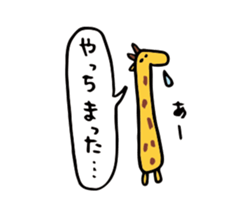 67004605