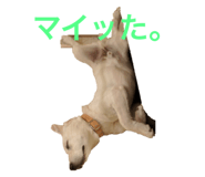 670193834