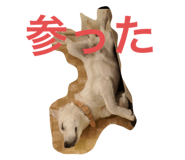 670193835
