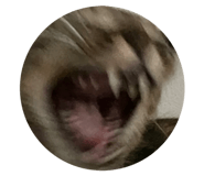 670211737