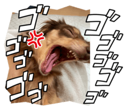 670222204