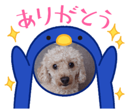670222385