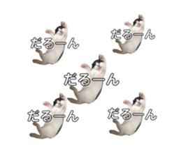 67023327