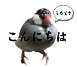 670238198