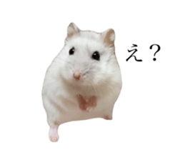 670239688