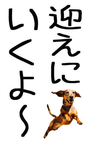 670254186