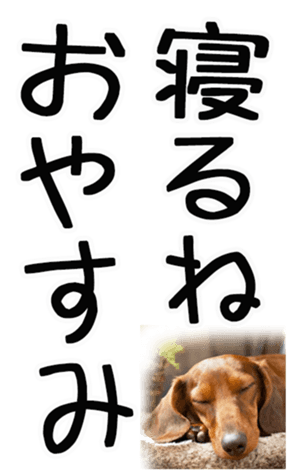670254213