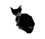 670258325