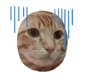 670265907