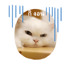 670267489