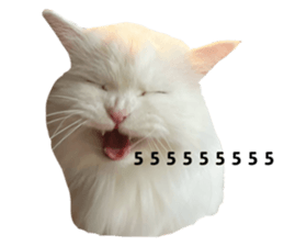 670267494
