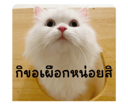 670267502