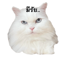670267509