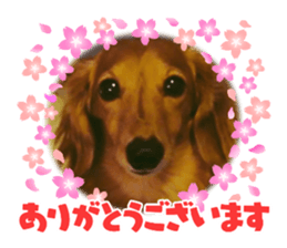 670276194