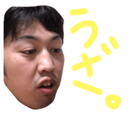 67029372