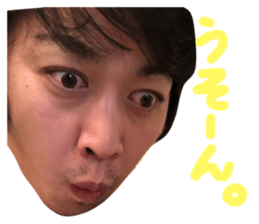 67029377