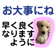 670335570